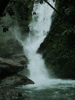 Serene waterfall cascading through dense greenery in GA, India, creating a tranquil scene.